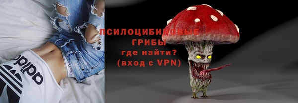прущие крисы Вяземский