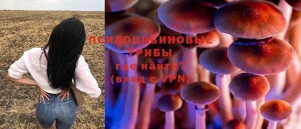 прущие крисы Вяземский