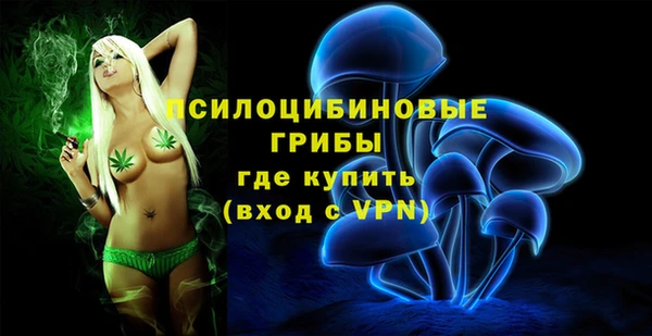 прущие крисы Вяземский