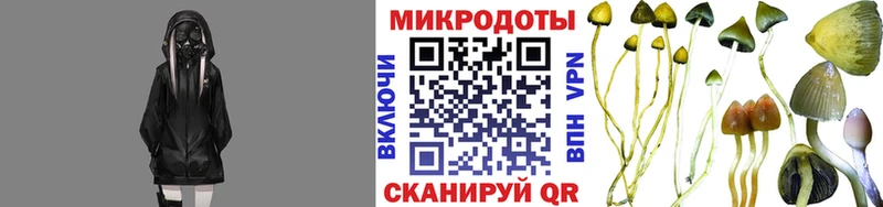Псилоцибиновые грибы Magic Shrooms  Купить  Мичуринск 